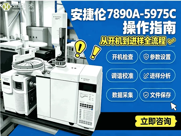 8月20日217KB